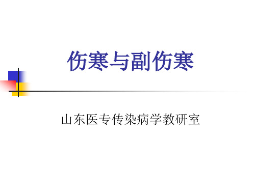 伤寒与副伤寒