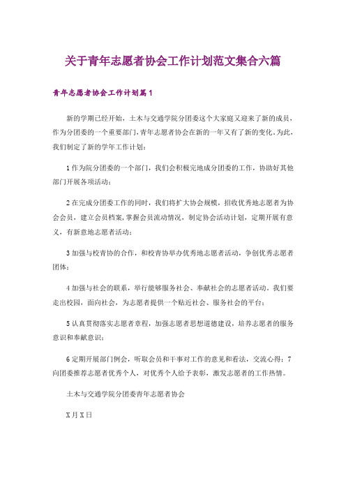 关于青年志愿者协会工作计划范文集合六篇