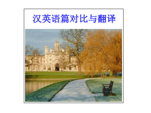 汉译英：段落层次的分析语翻译实践