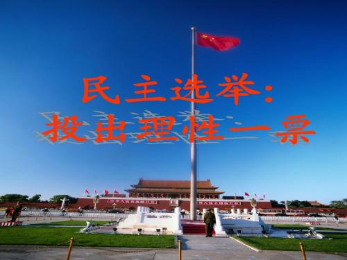 《民主选举：投出理性的一票》课件()