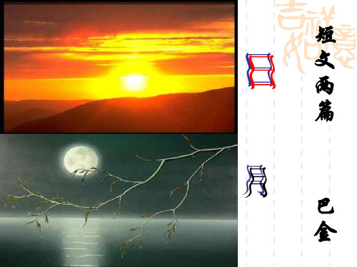 巴金短文两篇 ppt课件
