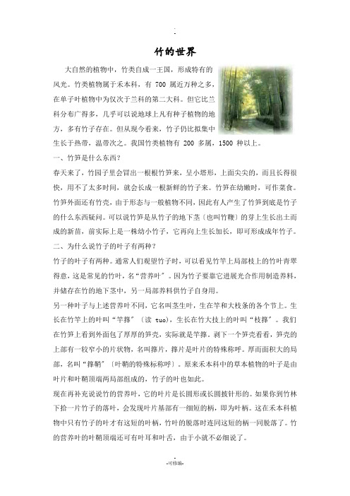 竹子常识(科学)