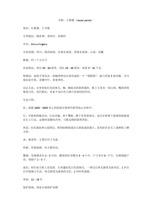 大小熊猫有何分别