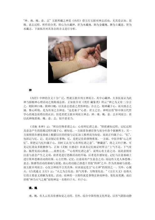 论五脏所藏之神