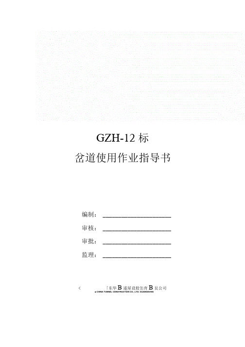 岔道使用作业指导书.doc
