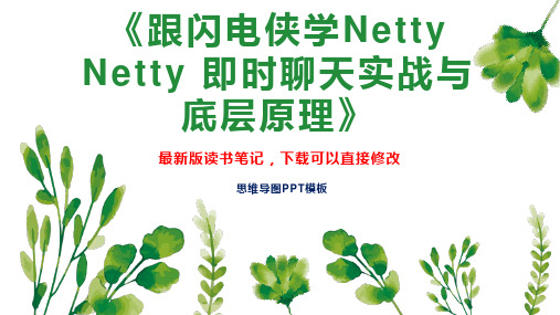 《跟闪电侠学Netty Netty 即时聊天实战与底层原理》读书笔记思维导图PPT模板下载