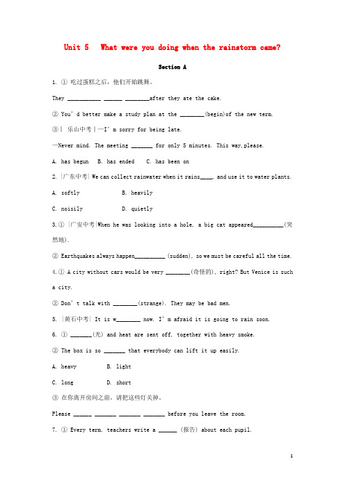八年级英语下册Unit5 What were you doing when the rain storm came 练习新版人教新目标版