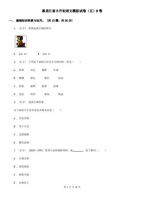 黑龙江省小升初语文模拟试卷(五)B卷