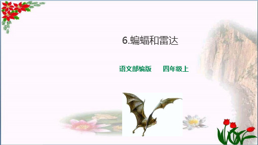 四年级语文上 蝙蝠和雷达 时 人教部编版PPT 优秀课件
