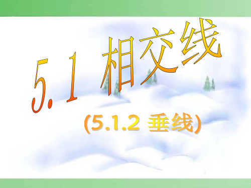 5.1.2垂线 课件-人教版七年级下册数学