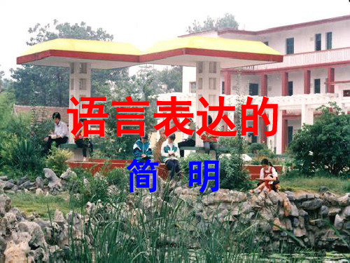 高考复习语言表达的简明PPT4 (共24张PPT)
