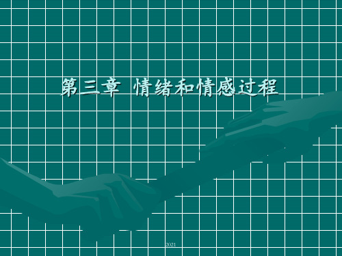第3章-情绪和情感过程[1]PPT课件