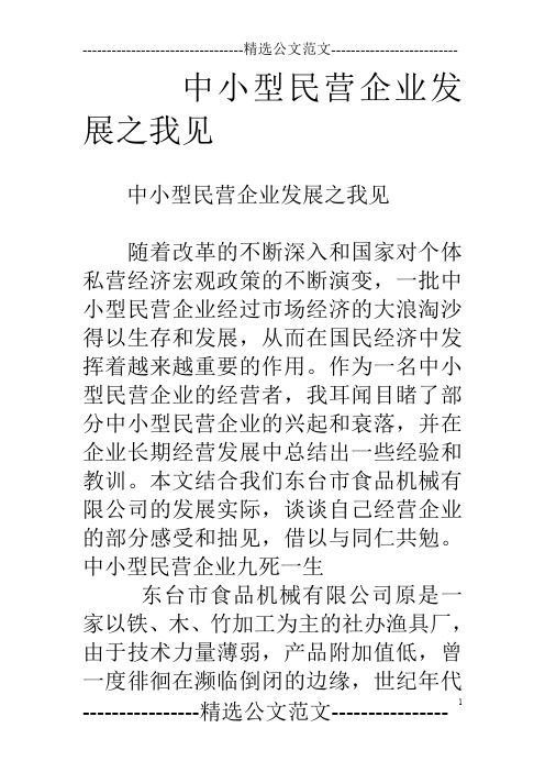 中小型民营企业发展之我见