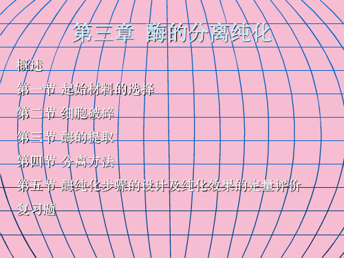 食品酶学本ppt课件