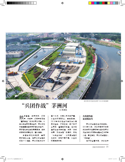 “兵团作战”茅洲河