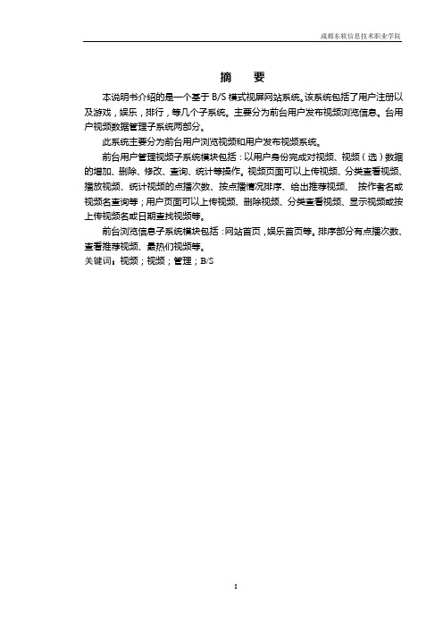 视频网站论文