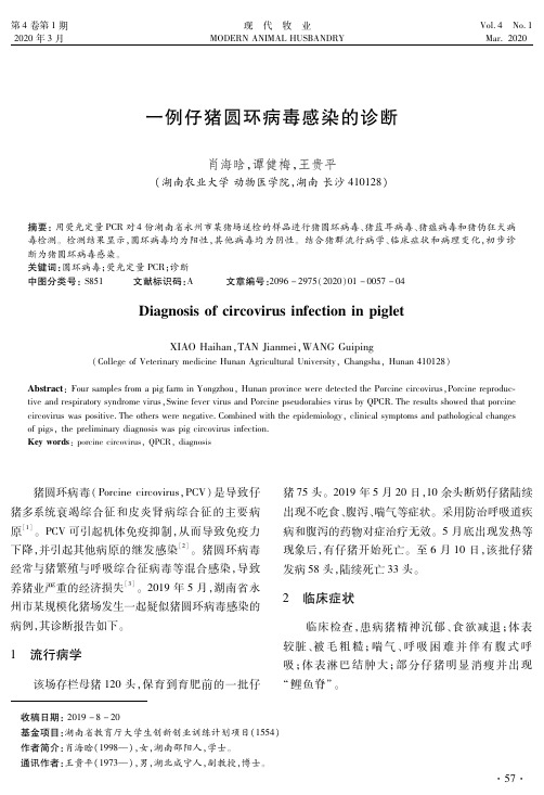 一例仔猪圆环病毒感染的诊断