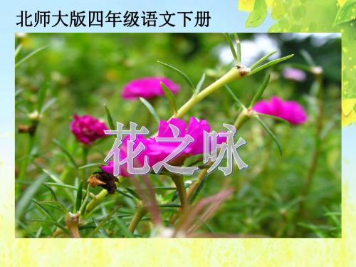 北师大版四年级语文下册《花之咏_2》PPT课件PPT、优质教学课件
