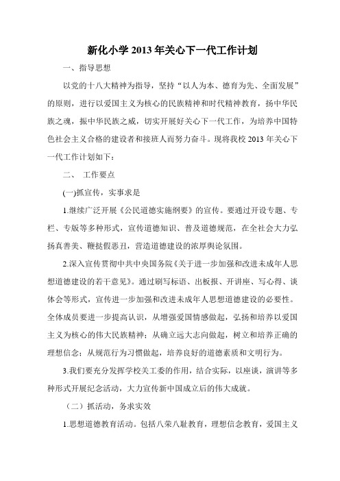 2013年新化小学关心下一代工作计划总结