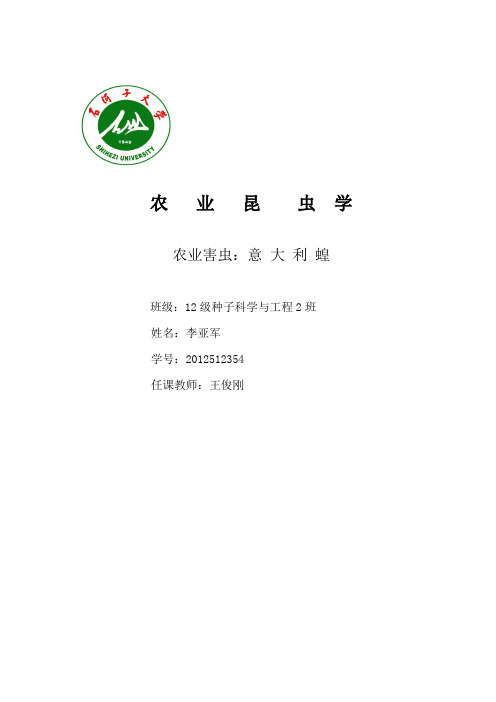 昆虫论文