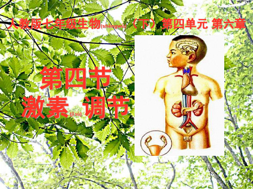 七年级生物 第四单元《 4.6.4激素调节 》课件