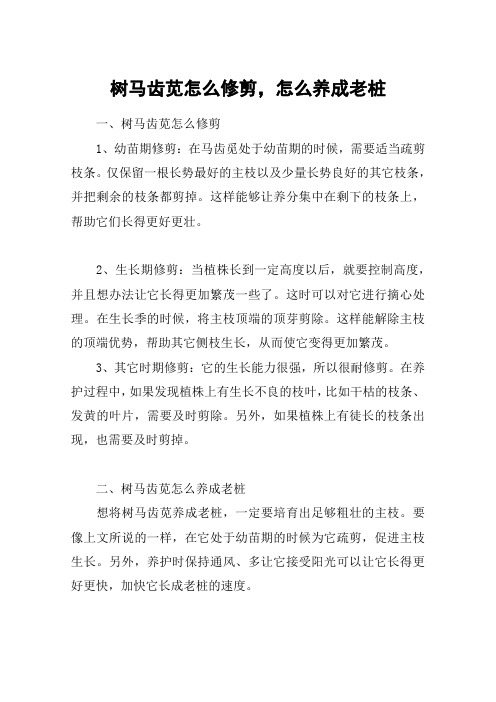树马齿苋怎么修剪,怎么养成老桩