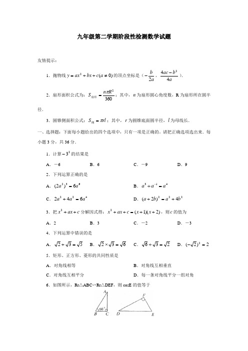 九年级第二学期阶段性检测数学试题