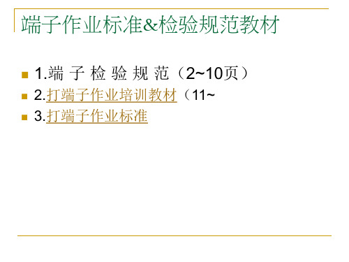 端子检验规范