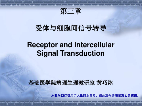 3.受体及其细胞信号转导(黄巧冰)