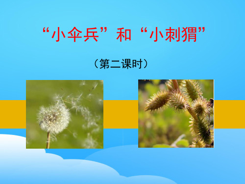 《“小伞兵”和“小刺猬”》PPT课件【优秀课件】