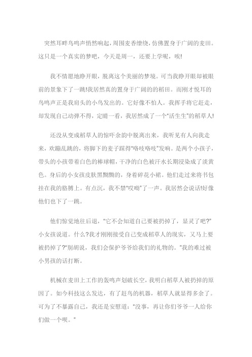 山东淄博2018年中考满分作文我是一个稻草人(6)
