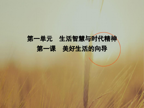 2018高考政治全国大一轮复习课件第四部分 生活与哲学第一单元 生活智慧与时代精神 第一课 美好生活