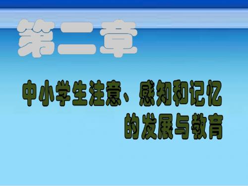 第二章中小学生注意、感知和记忆的发展与教育