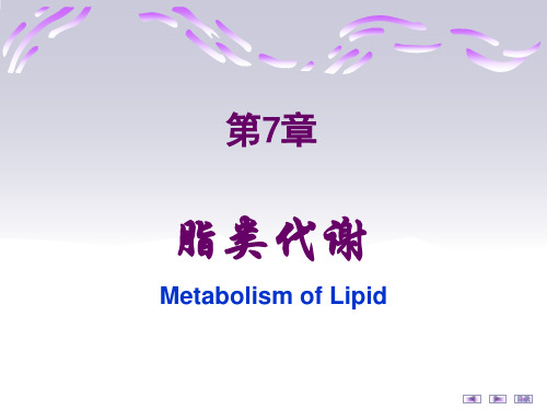 生物化学与分子生物学：第7章 脂类代谢