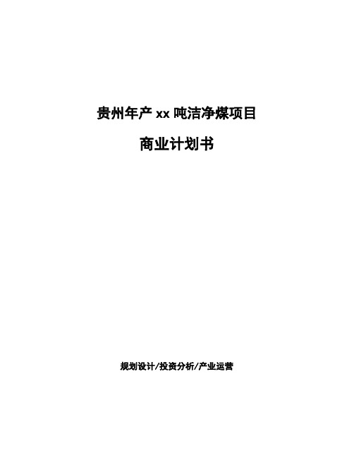 贵州年产xx吨洁净煤项目商业计划书