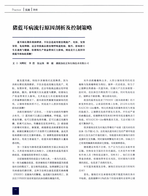 猪蓝耳病流行原因剖析及控制策略
