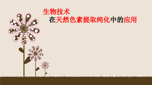生物技术在天然色素的提取和纯化中的应用