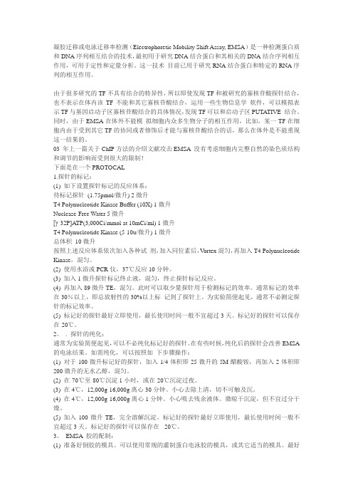 EMSA原理和方法