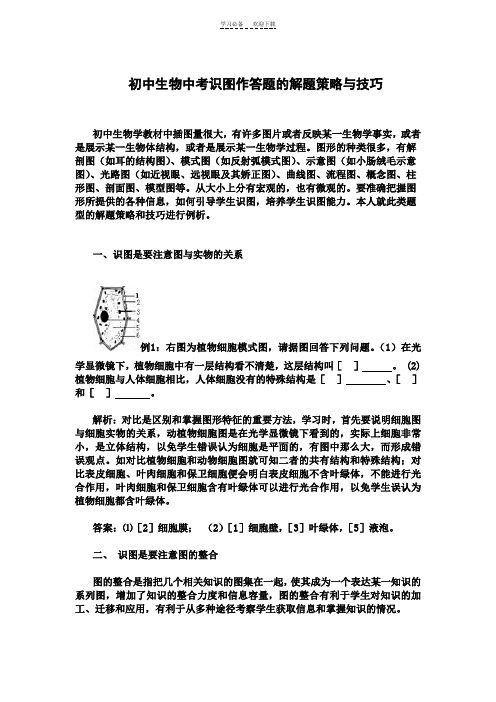 初中生物中考识图作答题的解题策略与技巧