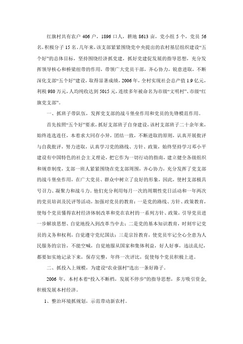 红旗村党支部材料