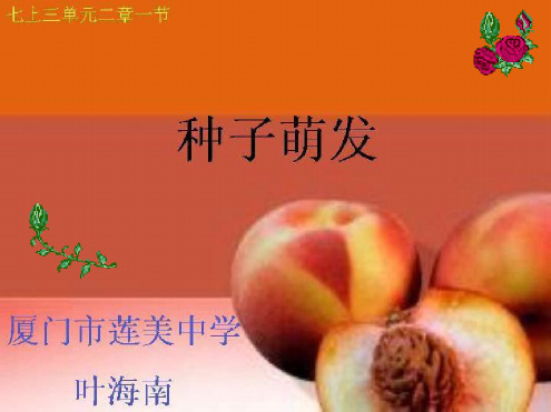 九年级生物种子的萌发