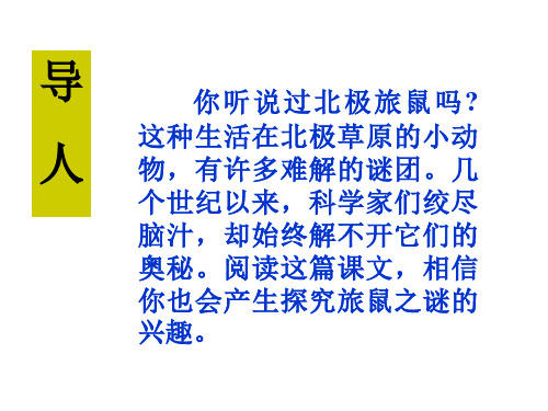 八年级语文旅鼠之谜2(PPT)5-3