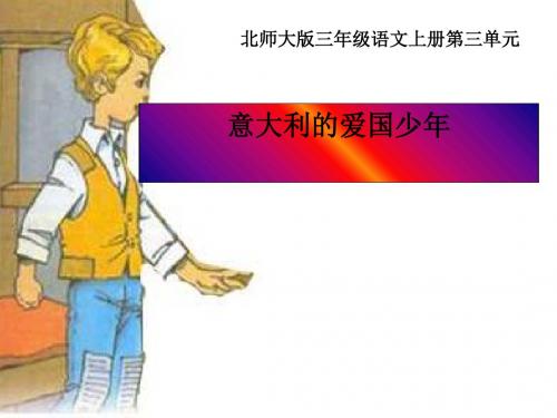 《意大利的爱国少年》PPT(上课用)2