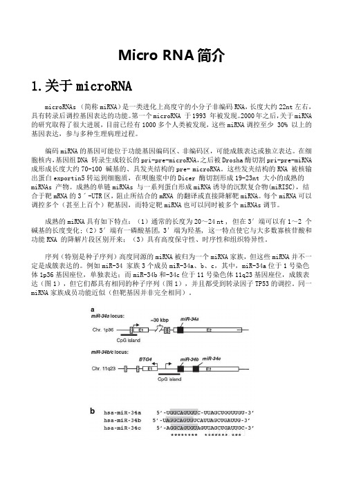 miRNA简介