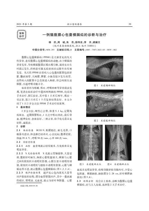 24085364_一例猫腹膜心包囊横膈疝的诊断与治疗