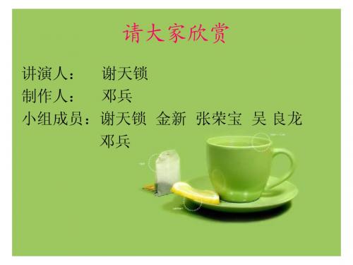 TNT物流公司ppt