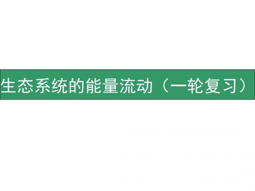 2.生态系统的能量流动(一轮复习)剖析.