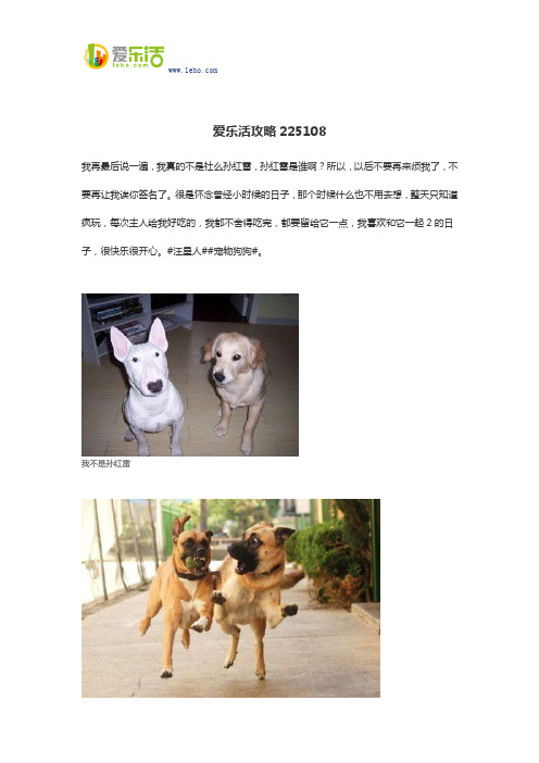 爱乐活攻略225108