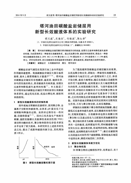 塔河油田碳酸盐岩储层用新型长效酸液体系的实验研究