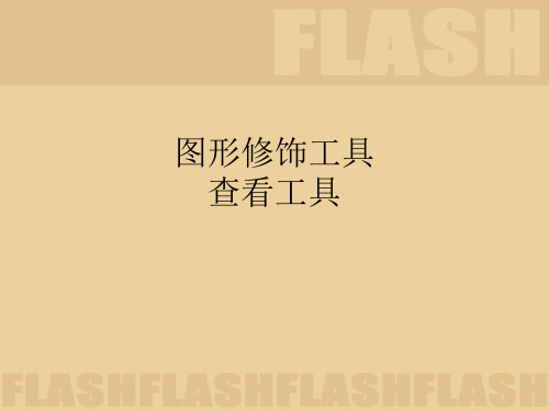FLASH图形修饰工具&查看工具